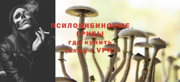 спиды Михайловск