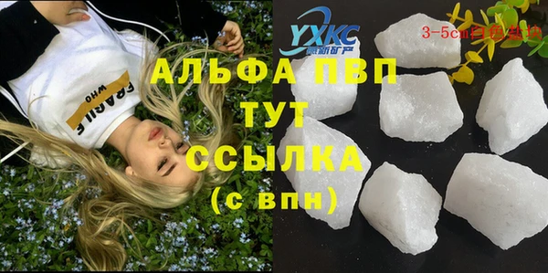 спайс Михайлов