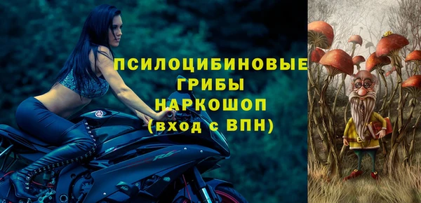 спиды Михайловск