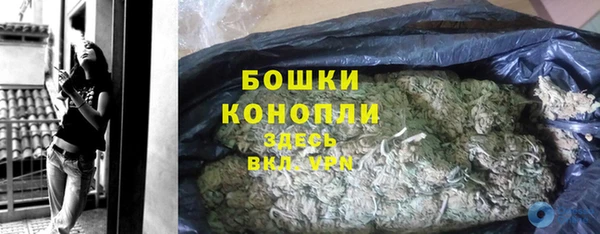 спайс Михайлов
