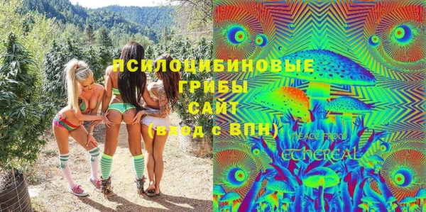 спиды Михайловск
