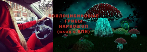 спиды Михайловск
