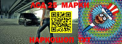 гашик Аргун