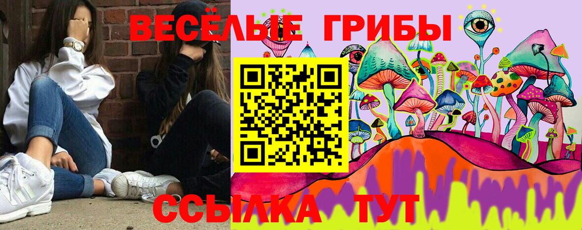 Галлюциногенные грибы ЛСД  Вход с VPN  Нальчик  где купить наркоту  Псилоцибиновые грибы ЛСД 