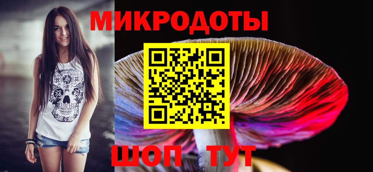 Галлюциногенные грибы Cubensis Нальчик